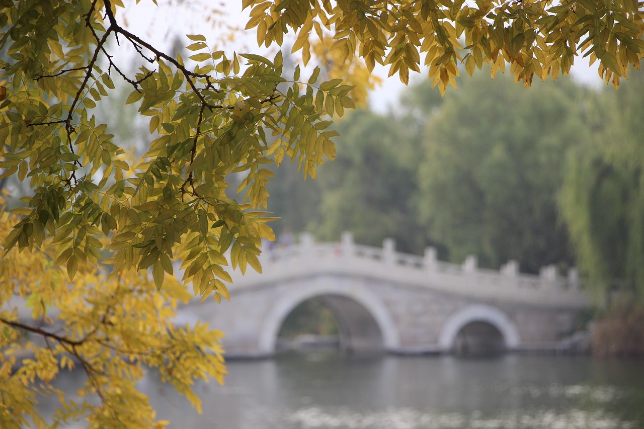 - 《畅玩精彩，在线游戏乐无穷》